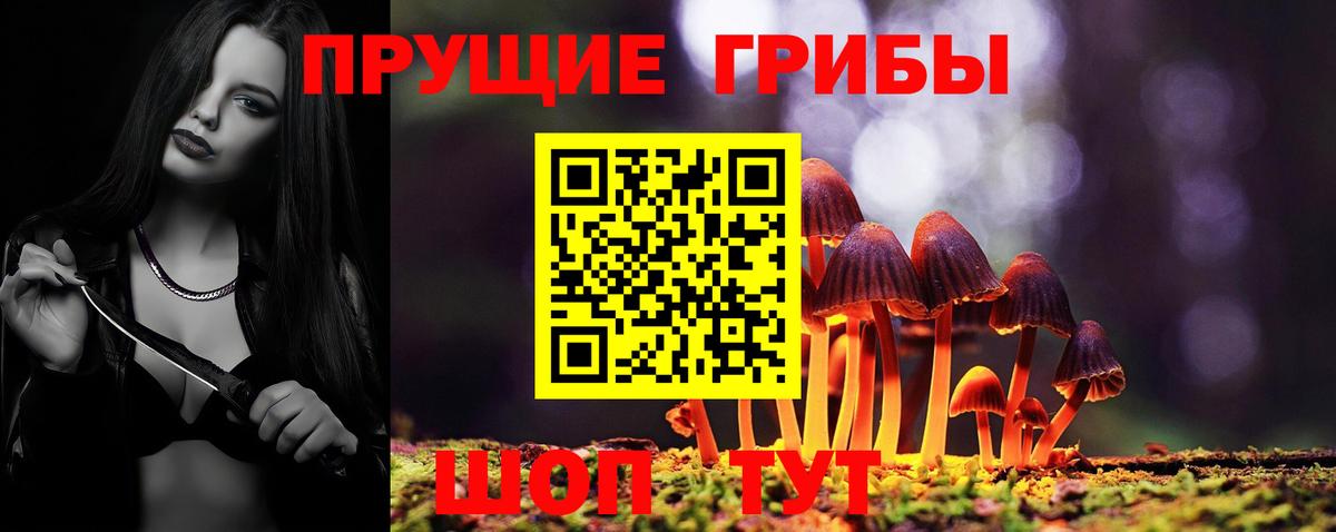 Псилоцибиновые грибы Psilocybe Чусовой