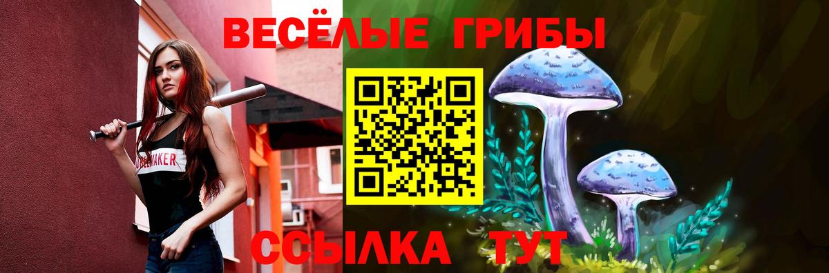 Псилоцибиновые грибы Psilocybine cubensis  купить наркоту  Чусовой  Вход с VPN 